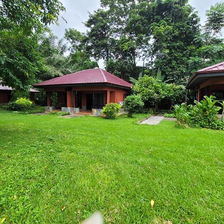 Big Foot Safari Lodge Wli Afegame Εξωτερικό φωτογραφία
