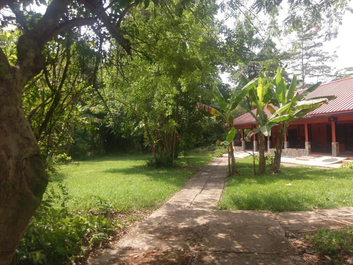 Big Foot Safari Lodge Wli Afegame Εξωτερικό φωτογραφία