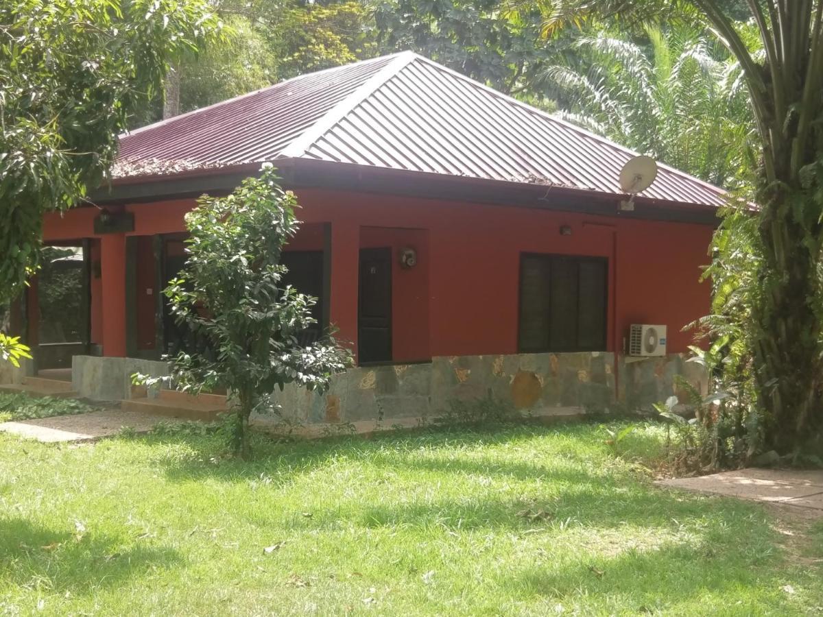 Big Foot Safari Lodge Wli Afegame Εξωτερικό φωτογραφία