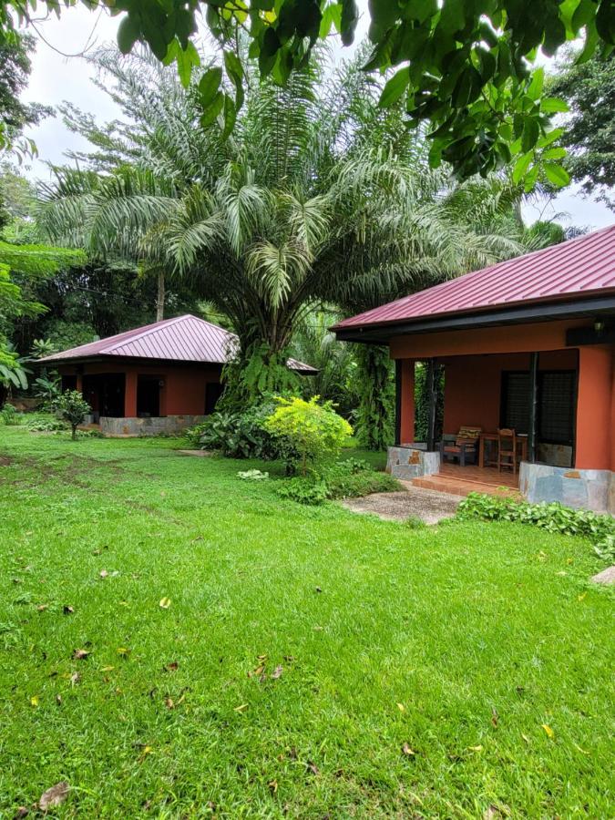 Big Foot Safari Lodge Wli Afegame Εξωτερικό φωτογραφία