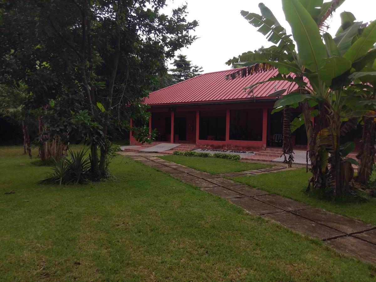 Big Foot Safari Lodge Wli Afegame Εξωτερικό φωτογραφία